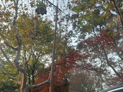 -鼓楼(西湖风景名胜区)