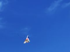-东澳岛
