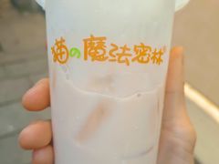 -猫的魔法密林(衣裳街店)