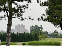 -汉长安城未央宫国家考古遗址公园