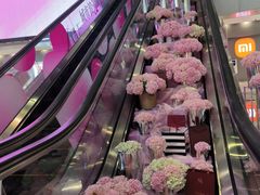 -鹏欣水游城