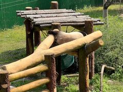 -沈阳森林动物园