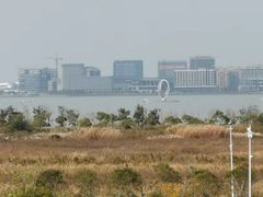 -春花秋色城市公园
