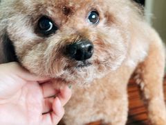 -味多美蛋糕(灯市口店)