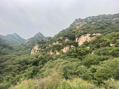 -大岭沟猕猴桃谷风景区