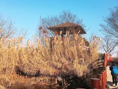 -长兴太湖图影湿地文化园