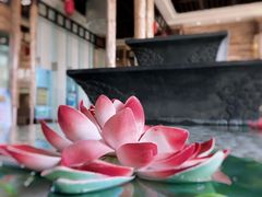 -台山颐和温泉城