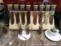 -ZING COFFEE 镜咖啡