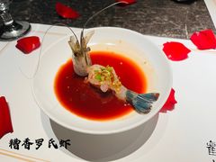 -觀芷隐轩