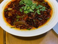 毛血旺-蜀宴小调·精致家常菜(科华店)