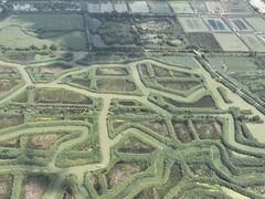 -泗洪洪泽湖湿地景区