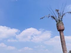 -上海月湖雕塑公园