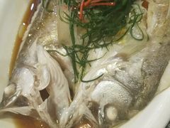 -杭苑(正佳广场店)