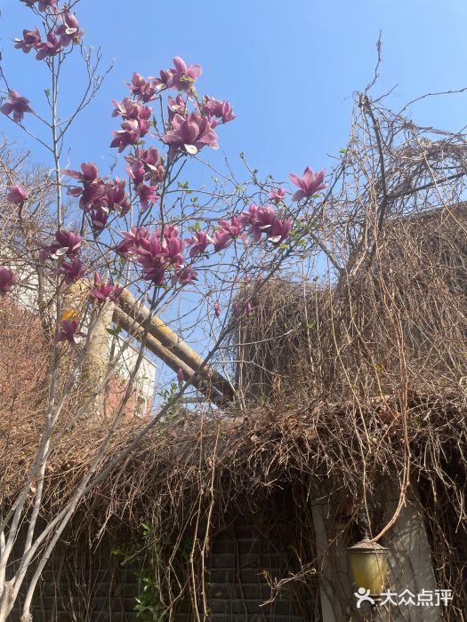 天津五大道文化旅游区图片