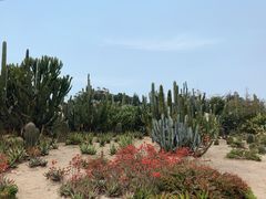 -猫咪博物馆(顶澳仔猫街店)