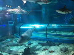 -福州罗源湾海洋世界旅游区