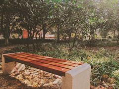 -中南财经政法大学(首义校区)