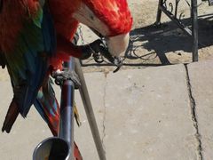 -新疆天山野生动物园