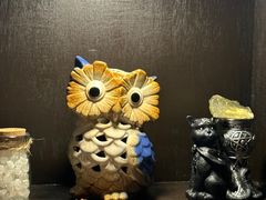 -雪灵魔法世界SHELLY’S TAROT(大良桂畔里店)