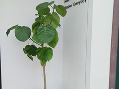 -fishtank鱼缸咖啡(三山街店)