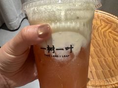 -一树一叶·福建茶档(石鼓路店)