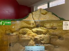 -上海昆虫博物馆