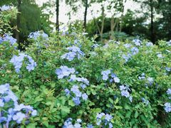 -荔枝公园(福田区)