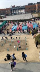 点击看大图 -季高兔窝窝亲子园(上海薰衣草公园店)