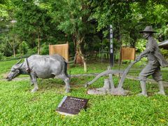-广州神农草堂中医药博物馆
