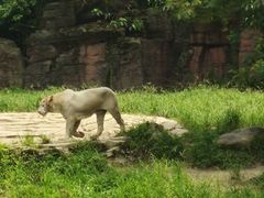 -杭州野生动物世界