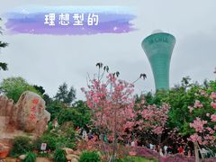 -狐尾山公园