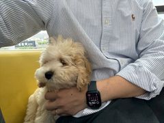 -谐和贝康宠物医院24小时·宠保定点(急重症转诊中心)