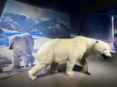 -贝林大翅鲸简餐厅(国家海洋博物馆店)