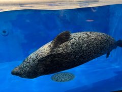 -成都浩海立方海洋公园