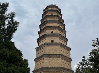 年轻人不建议买观光车的票