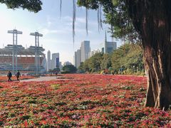 -海心沙亚运公园