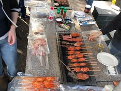 -吴淞炮台湾湿地森林公园烧烤区