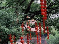 -杭州上天竺法喜讲寺
