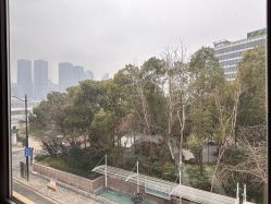-上海首尔丽格医疗美容医院