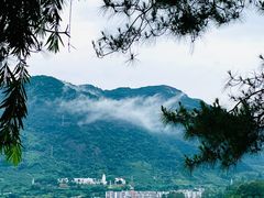 -广州市流溪河国家森林公园