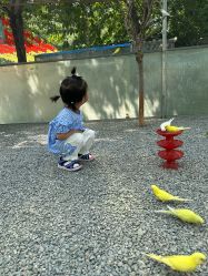 -萌宠亲子动物乐园(槐房万达店)