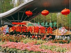 -东平国家森林公园