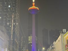 -辽宁电视塔