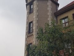 -烟台海昌鲸鲨海洋公园