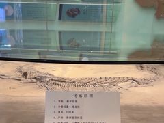 -大同煤炭博物馆