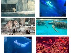 -珠海长隆海洋王国