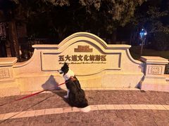 -天津五大道文化旅游区