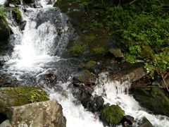 -凤凰山国家森林公园