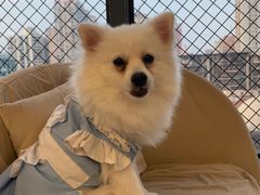 -怪兽屋·羊驼·猫咖·狗咖(俊华广场店)