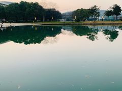 -上海佘山世茂艾美酒店